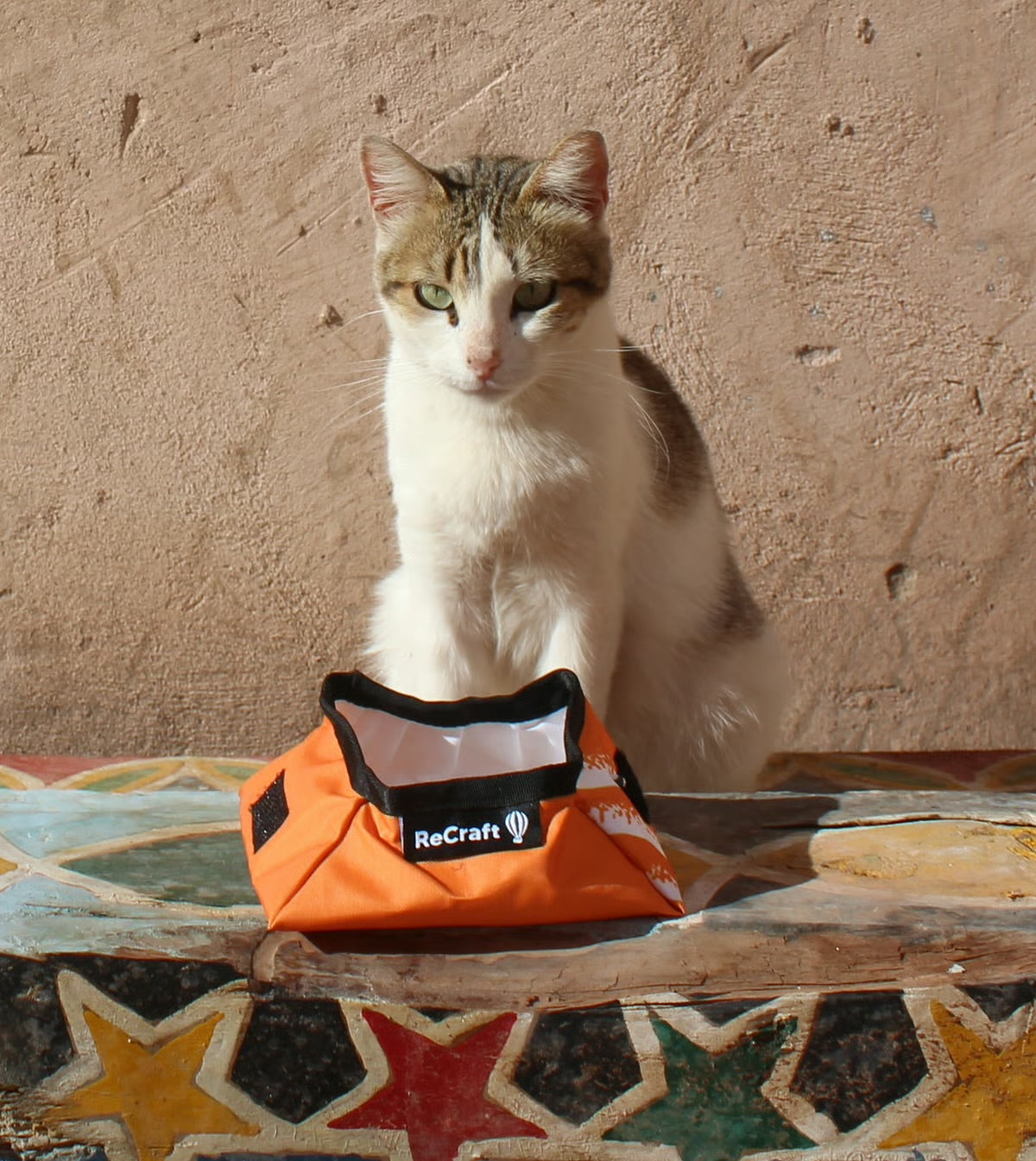 FOR PETS