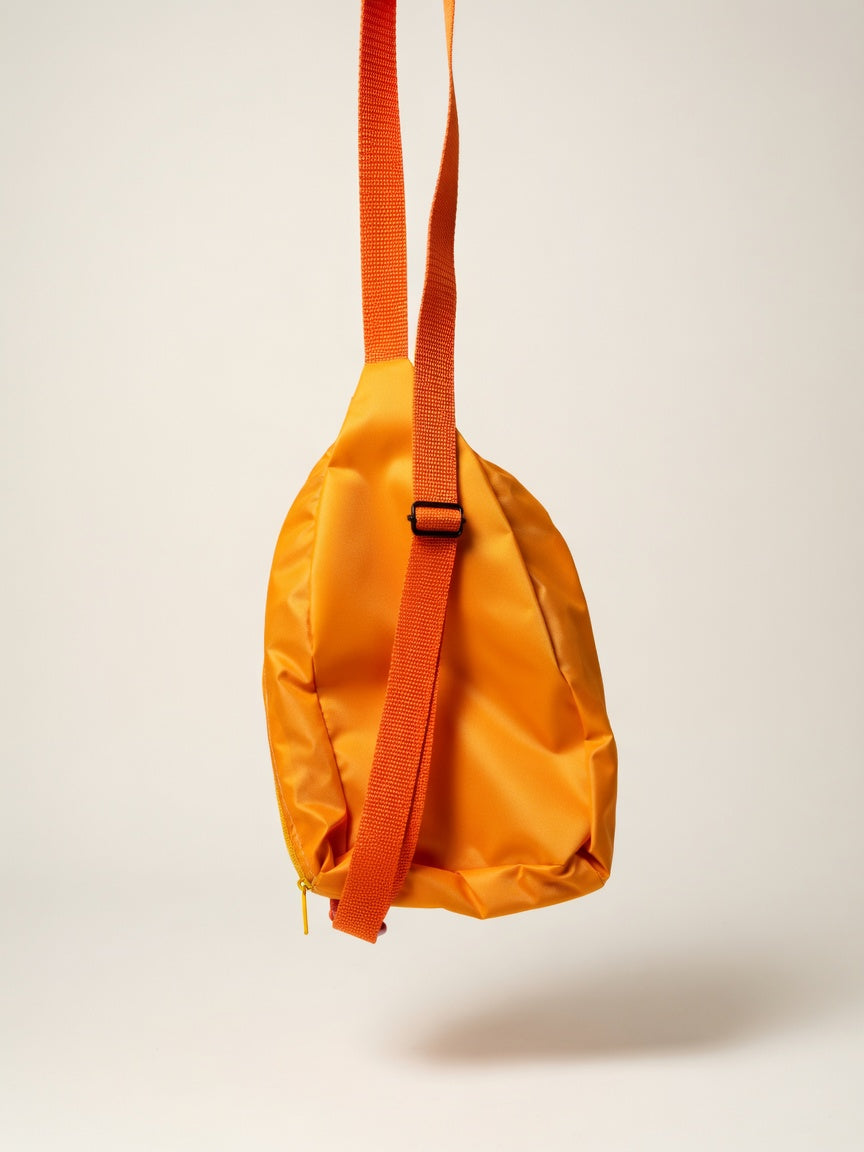Holster bag